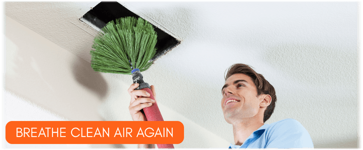 Air Duct Mold Removal in Leesburg VA